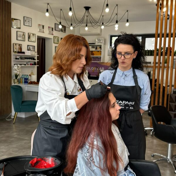 curs vopsit balayage